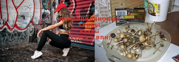 гидра Михайлов