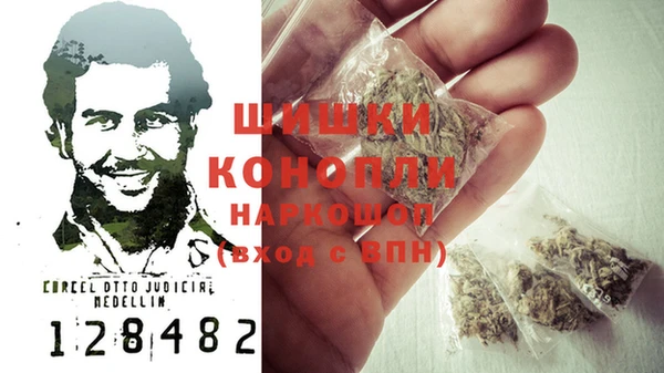сатива Дмитров