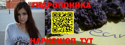 мяу мяу мука Гай