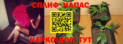 мяу мяу мука Гай