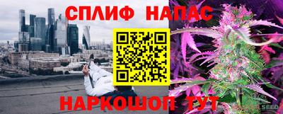 мяу мяу мука Гай