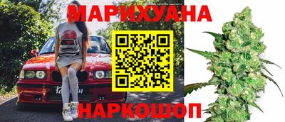 мяу мяу мука Гай