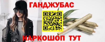 крисы Новокубанск
