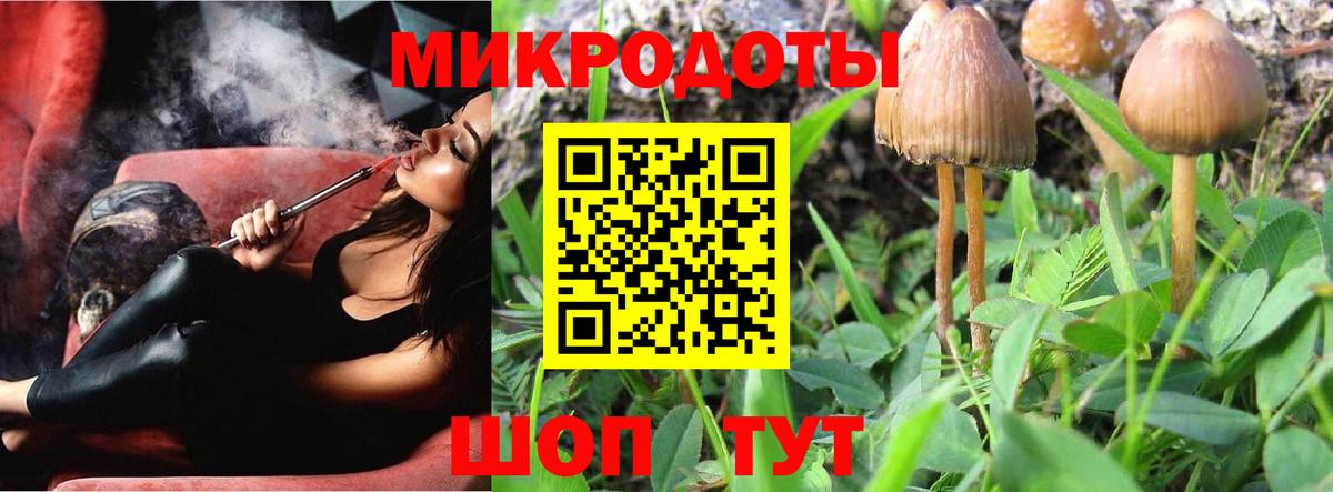Галлюциногенные грибы мицелий  Вход с VPN  Галлюциногенные грибы Psilocybe  Дивногорск 