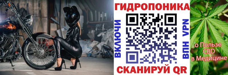 Шишки марихуана семена цена маркетплейс какой сайт Дивногорск